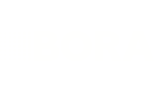 Bora Logo weiß
